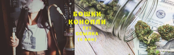 молекула духа Касимов