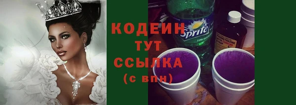 молекула духа Касимов