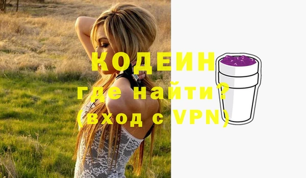 хмурый Карпинск
