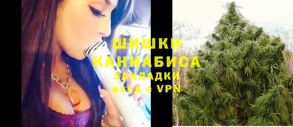 хмурый Карпинск