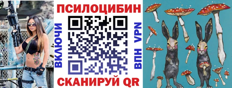 Купить  Зуевка  Псилоцибиновые грибы MAGIC MUSHROOMS 